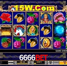 6666Bet São Paulo - Jogo Providers